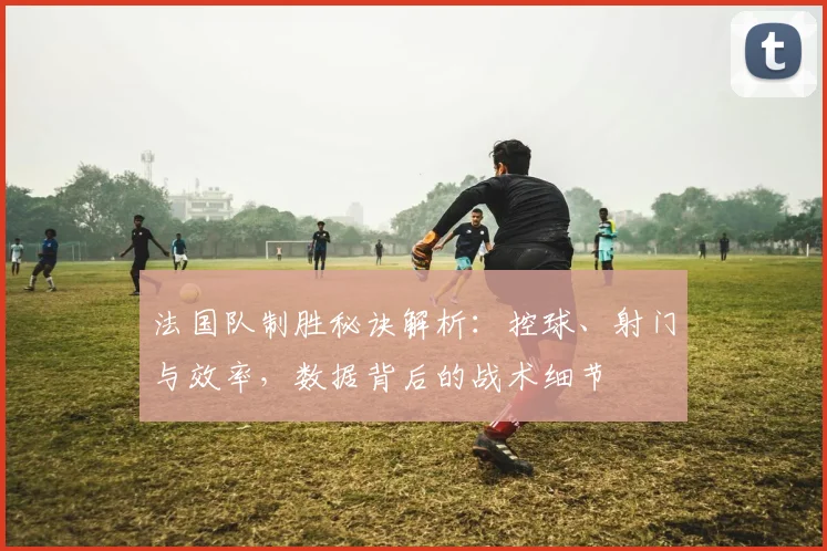 法国队制胜秘诀解析:控球、射门与效率,数据背后的战术细节